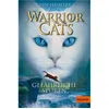 Image de Warrior Cats. Gefährliche Spuren | Erin Hunter Erin Hunter (Auteur)