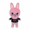 Image de Peluche Stary Kids Skzoo Dwaekki 20 cm - Rose