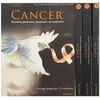 Image de Cancer. donnees generales, diagnostic et traitement - pack 4 vol COLLECTIF- YEF EDITION (Auteur)
