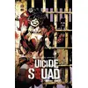 Image de Suicide squad - intégrale tome 2