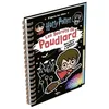 Image de Les secrets de Poudlard : d'après les films Harry Potter : mon livre magique à gratter en occasion ou reconditionné