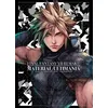 Image de Final Fantasy VII Remake - Material Ultimania Enix Square (Auteur), Jean-Baptiste Flamin (Traduction)