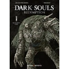Image de Dark Souls Redemption tome 1