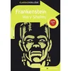 Image de Frankenstein Mary (Wollstonecraft) Shelley (Auteur), Cédric Hannedouche (Auteur), Hannah Betjeman (Traduction)