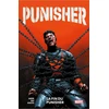 Image de Punisher tome 3