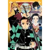 Image de Demon slayer - roman jeunesse tome 2