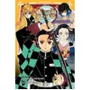 Image de Demon Slayer - Roman jeunesse T02 : Les liens fraternels et les pourfendeurs de démons Shuka Matsuda (Auteur), Koyoharu Gotouge (Auteur)