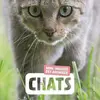 Image de Chats : Mon imagier des animaux