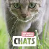 Image de Chats : mon imagier des animaux en occasion ou reconditionné