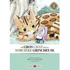 Image de Le gros chat et la sorcière grincheuse. Vol. 1 en occasion ou reconditionné