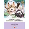 Image de Le gros chat et la sorcière grincheuse tome 3