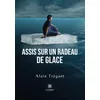 Image de Assis sur un radeau de glace en occasion ou reconditionné