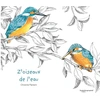 Image de Z'oiseaux de l'eau