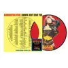 Image de I Wanna Have Some Fun Picture Disc