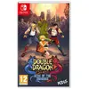 Image de Double Dragon Gaiden: Rise of the Dragons