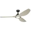 Image de Elstead Light Ventilateur plafond 165 cm - Noir