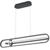 Image de Suspension Demark Quintiesse noire mat LED 58W 107cm