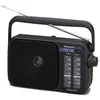 Image de Panasonic RF2400DEGK - Noir