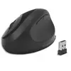 Image de KENSINGTON Kensington Pro Fit Ergo Wireless Mouse