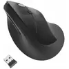 Image de Kensington Souris sans fil Pro Fit Ergo Verticale Noire