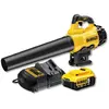 Image de Dewalt DCM562P1-QW - XR