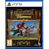 Image de SONY Harry Potter Campeones de Quidditch - PS5