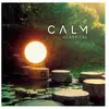 Image de Calm Classical