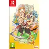 Image de Rune Factory 3 Special - Nintendo Switch