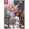 Image de Rune Factory Guardians of Azuma - Jeu Nintendo Switch - Edition limitée