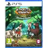 Image de Harvest Moon Echoes of Teradea