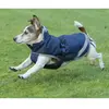 Image de Manteau pour chien Bucas Freedom 150g Bleu 25 cm 28825-62