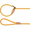 Image de Laisse pour chien anti-traction Flamingo Malibu Jaune 170x0,6x0,6x0,6 cm 523753