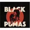 Image de Black Pumas