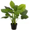 Image de Plante Artificielle en Pot Pothos 55cm Vert
