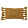 Image de Paris Prix Coussin Déco à Pompons Floche - 30x60cm - Ocre