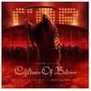 Image de Virgin Music Group - A Chapter Called Children of Bodom - Final Show 2LP