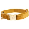 Image de Collier pour chien Kentucky Velvet Jaune S 42538-44-S