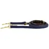 Image de Laisse pour chien en nylon tressé Kentucky 200 cm Bleu S 42654-03-2