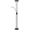 Image de Lucide Lampadaire Champion - Noir