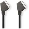 Image de NEDIS CVGB31000BK20 Câble Péritel