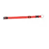 Image de Collier pour chien réglable en nylon Duvoplus Rouge 41x1x0,15 cm 0111000037