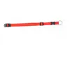 Image de Collier pour chien réglable en nylon Duvoplus Rouge 54x4,5x1,5 cm 0111000047