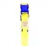 Image de DUVO PLUS-Collier Chien - Duvoplus flash light USB - 40-55 cm