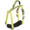 Image de Harnais pour chien en nylon Duvoplus Explor North Jaune 40x1,5x1 cm 10951
