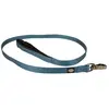 Image de Laisse pour chien en nylon Duvoplus Explor North Bleu 100x2,5x1 cm 10975