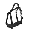 Image de Harnais pour chien en nylon Duvoplus Explor North Noir 100x2,5x1 cm 11011