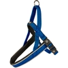 Image de Harnais pour chien en nylon Duvoplus Explor East Bleu 100x2,5x1 cm 11040