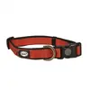 Image de Collier pour chien en nylon Duvoplus Explor East Rouge 30/45 cm 11042
