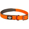 Image de Collier pour chien en PVC Duvoplus Explor South Orange 55x2x1 cm 11098