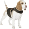 Image de Gilet de sécurité pour chien réfléchissant et lumineux avec USB Duvoplus Noir L 11301